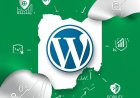 Top WordPress Plugins Every Nigerian Website Needs in 2025: Boost Performance, Security, and SEO